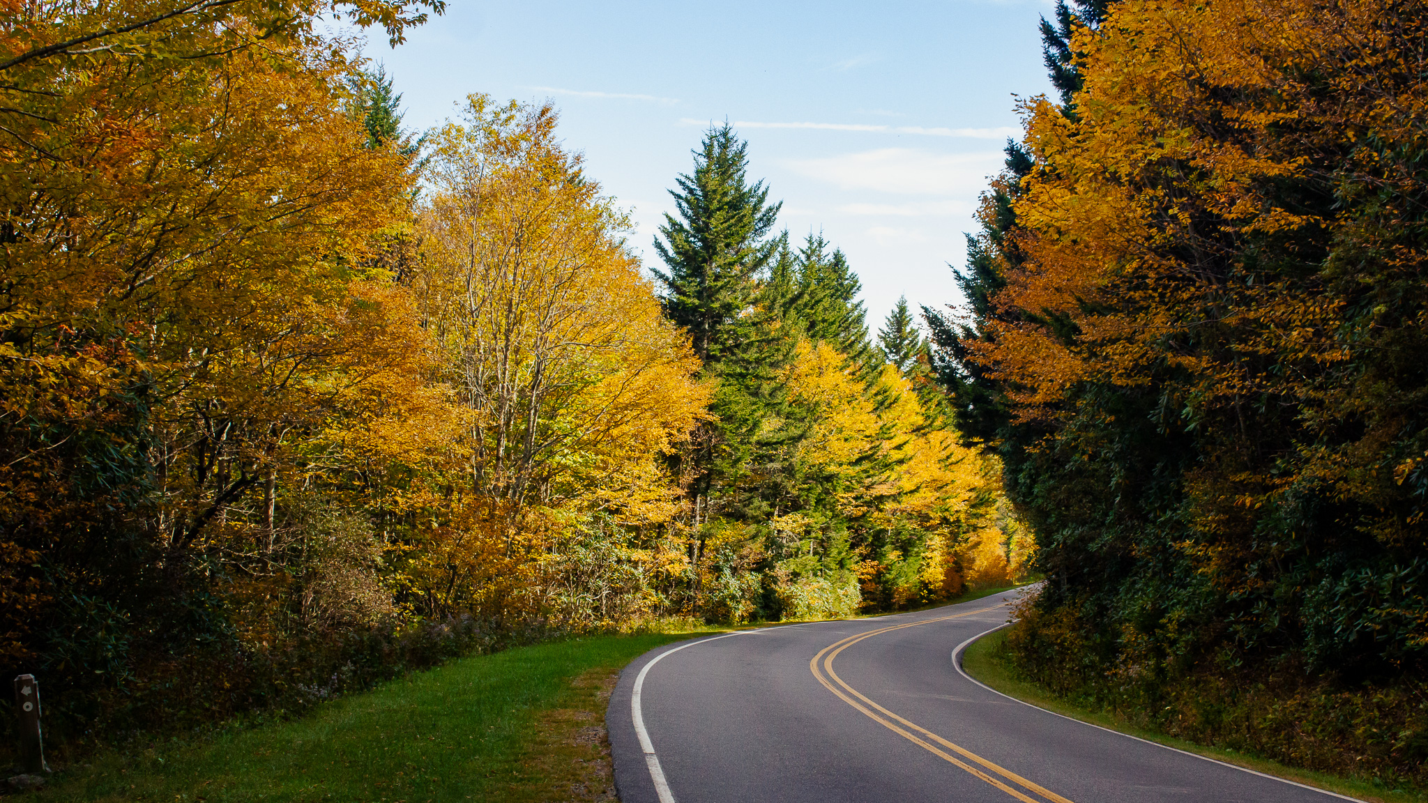 Peak fall color along a winding road