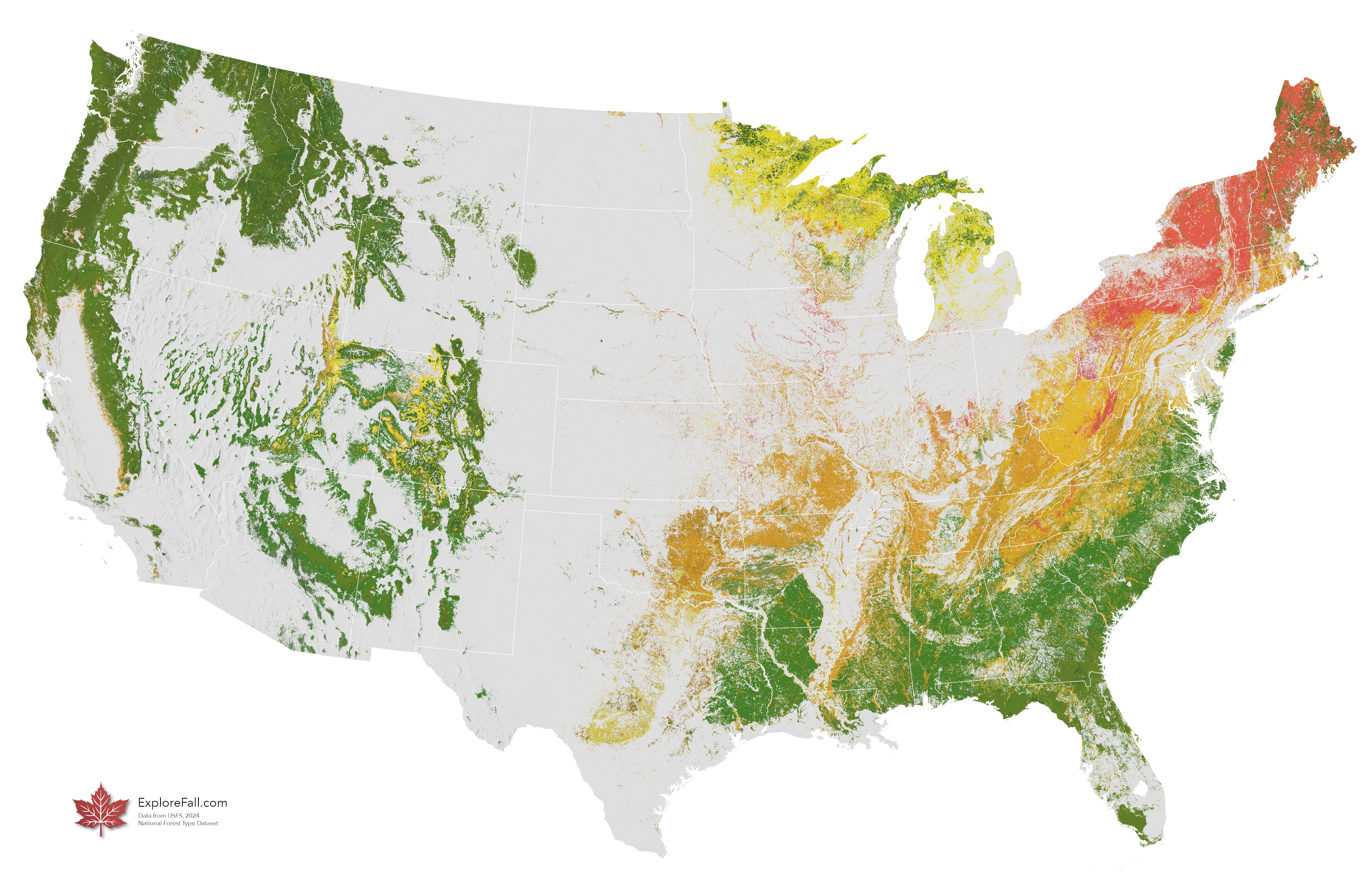 Map of fall colors by tree species across the United States