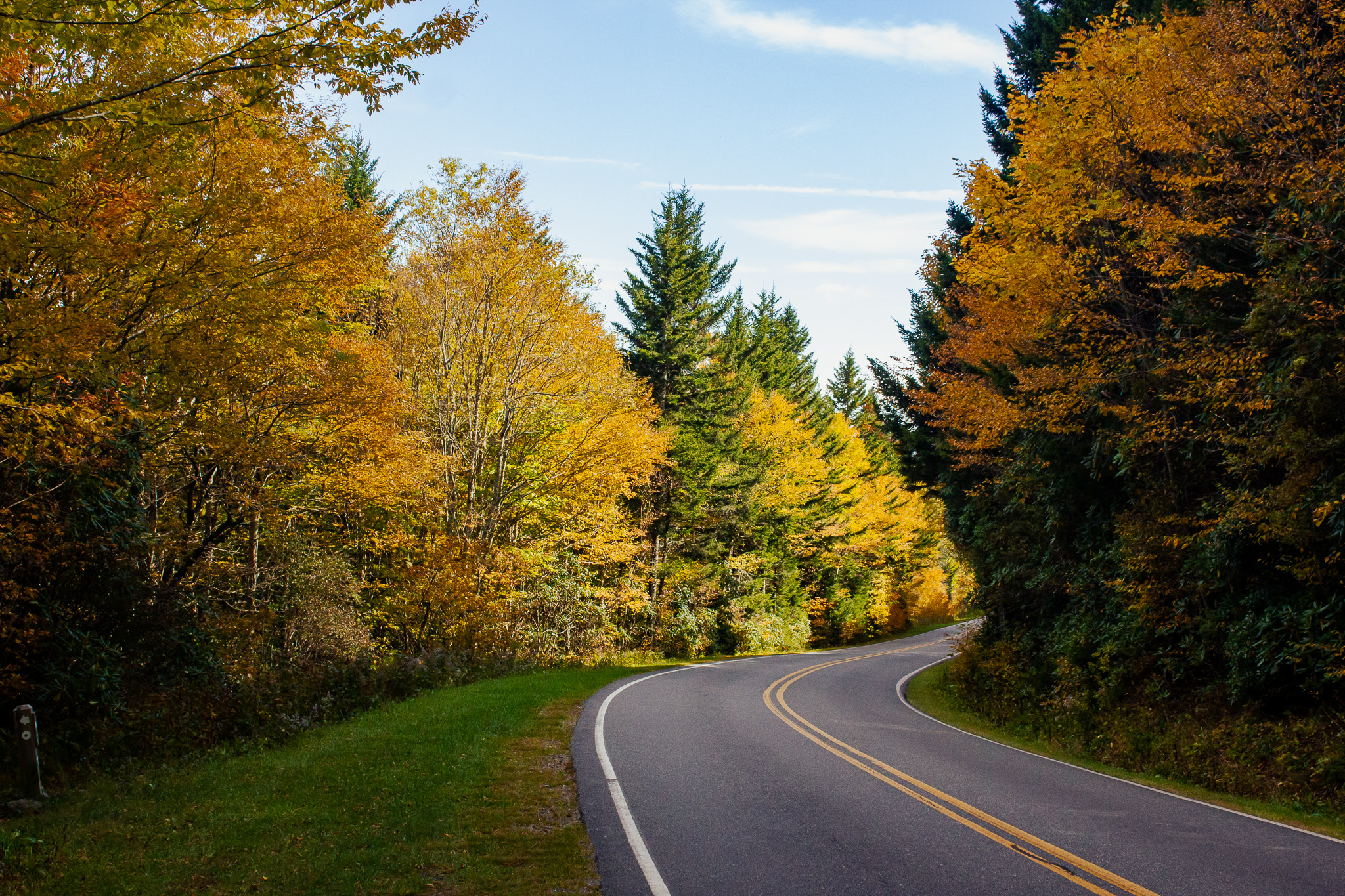 Fall foliage lining the road into Mount Mitchell State Park, NC